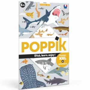 Poster créatif Poppik - Les requins