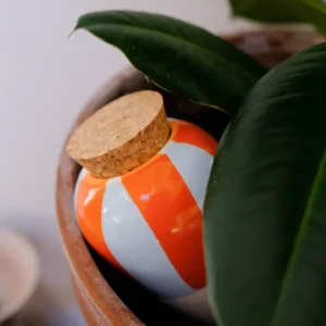 Olla - Rayée orange & bleu