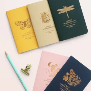 Trio petits carnets - Papillon & Cie